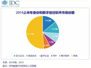 2019年上半年中國IT安全軟件市場洞察 網(wǎng)絡(luò)與信息安全軟件開發(fā)廠商收入達(dá)4.82億美元