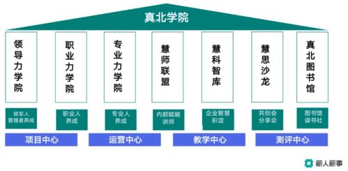 薪人薪事線上沙龍 以數字化創新技術為引擎，驅動學習型組織構建