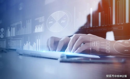 數(shù)字技術(shù)服務(wù)企業(yè)政策申報(bào)秘籍 成功率提升100%的實(shí)操指南